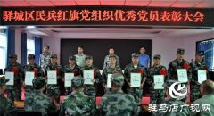 驻马店市驿城区表彰红旗民兵党组织优秀民兵党员