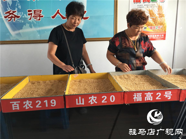 小麦要高产 良种是首选 ——吨源种业2020年小麦高产示范启动会 