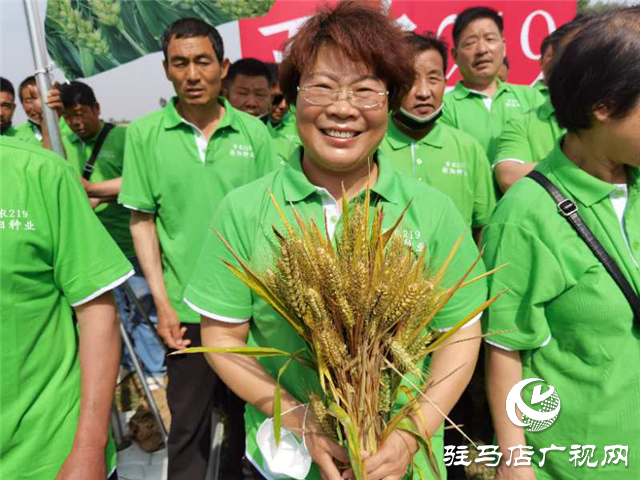 小麦要高产 良种是首选 ——吨源种业2020年小麦高产示范启动会 