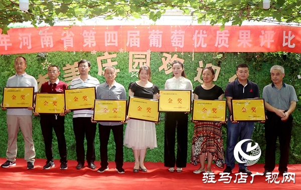 驻马店“葡萄仙子”王书美：这个盛夏，她翡翠般的梦“玲珑”绽放