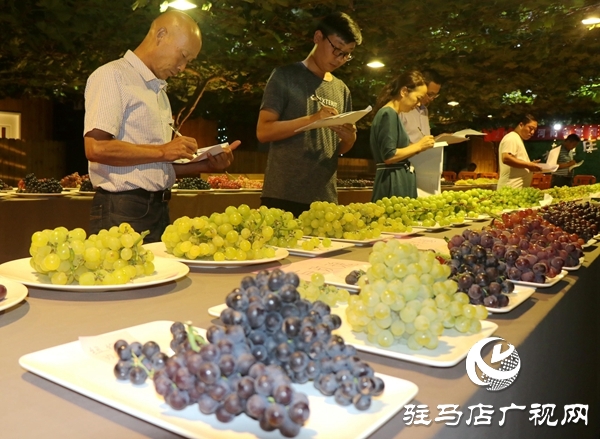 驻马店“葡萄仙子”王书美：这个盛夏，她翡翠般的梦“玲珑”绽放