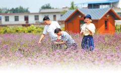 成绩亮眼！河南已有150多家旅行社线上复工