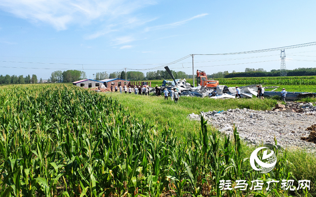 驻马店市驿城区对农村乱占耕地建房8类问题“零容忍”