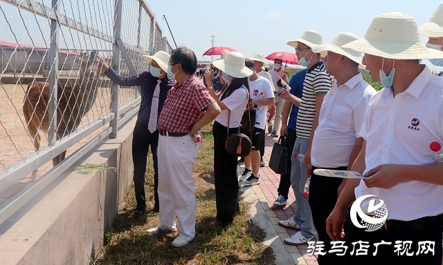 龟鹿药业智能健康产业园投产 致力打造龟鹿胶第一品牌