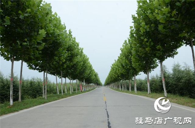 驿城区水屯镇关帝庙   产 业兴旺  日子红火