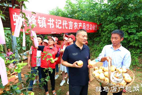 河南驻马店驿城区：脱贫戸梨园开园 书记代言全部销完