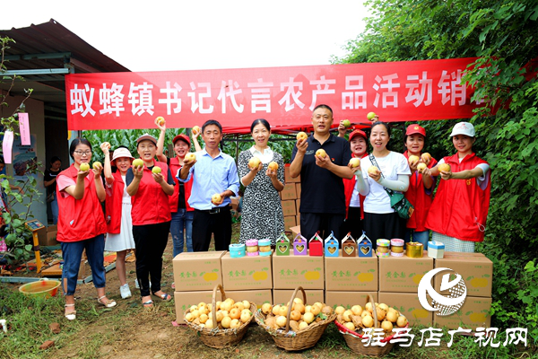 河南驻马店驿城区：脱贫戸梨园开园 书记代言全部销完