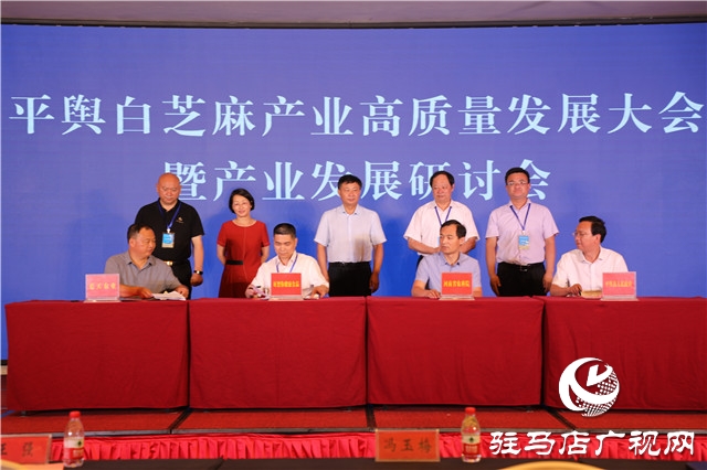 平舆县召开白芝麻产业高质量发展大会暨产业发展研讨会