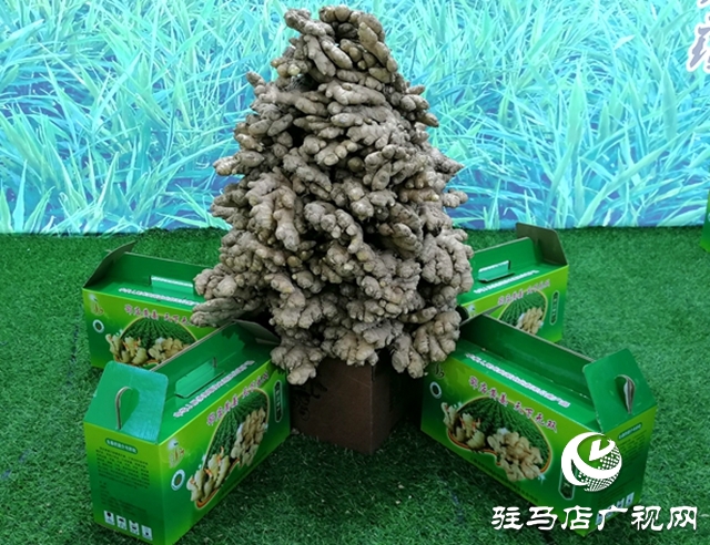 第二十三届中国农加工投洽会上 “土”味足
