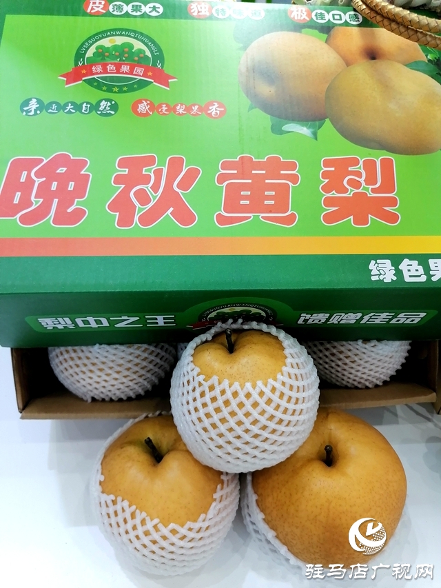 第二十三届中国农加工投洽会上 “土”味足