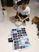 冒充女性专门网上交友 骗了钱就拉黑 这伙人被郑州警方抓了
