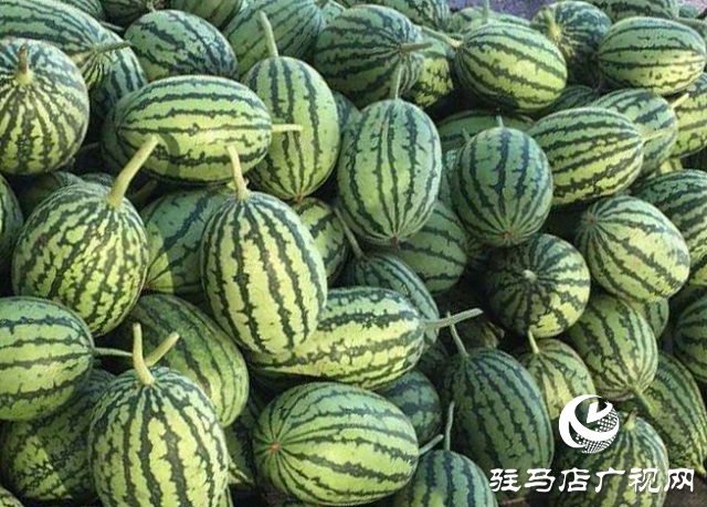 驿城区朱古洞乡：瞄准“餐桌”经济 带民脱贫奔小康
