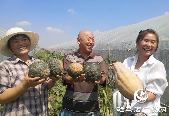 驿城区朱古洞乡：瞄准“餐桌”经济 带民脱贫奔小康
