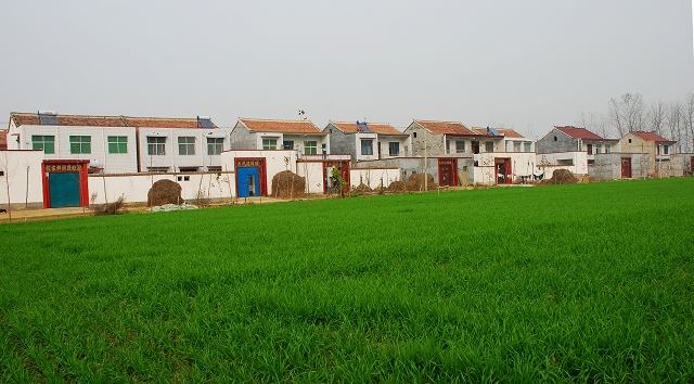 河南“复垦券”制度累计筹集资金近352亿元 交易面积、收益均居全国第一