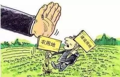 自然资源部：用“长獠牙”举措遏制违法违规占用耕地