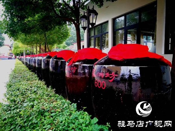 蔡洪坊酒业跻身全省10强 豫酒转型中杀出的一匹“黑马”