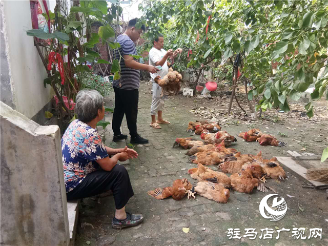 平舆县玉皇庙乡：消费扶贫月、群众喜庆季