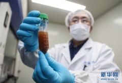 全球合力加速研发新冠疫苗 为人类战疫打造最有力的武器
