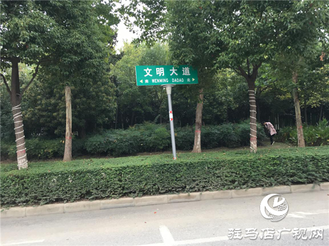 驻马店建业城的景观灯竟用水泥钉钉在树上