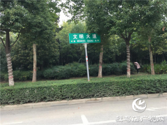 驻马店建业城的景观灯竟用水泥钉钉在树上