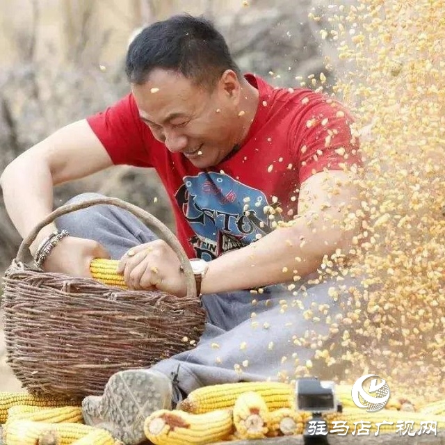 快乐之旅，丰收之行！嵖岈山秋趣丰收欢乐季即将盛大开启！