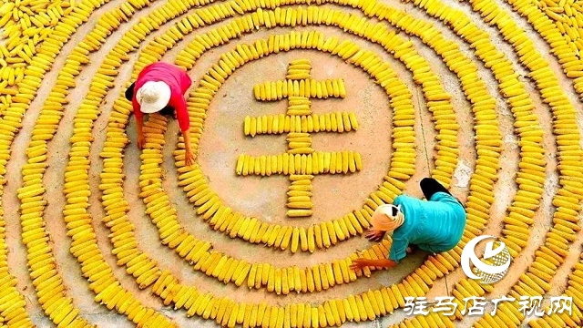 快乐之旅，丰收之行！嵖岈山秋趣丰收欢乐季即将盛大开启！
