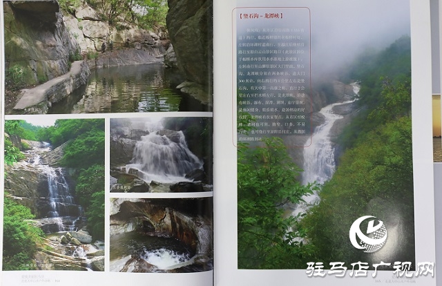  叶辛卯作品剪影