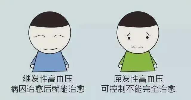 高血压原发性、继发性?精准治疗,拒绝傻傻分不清!