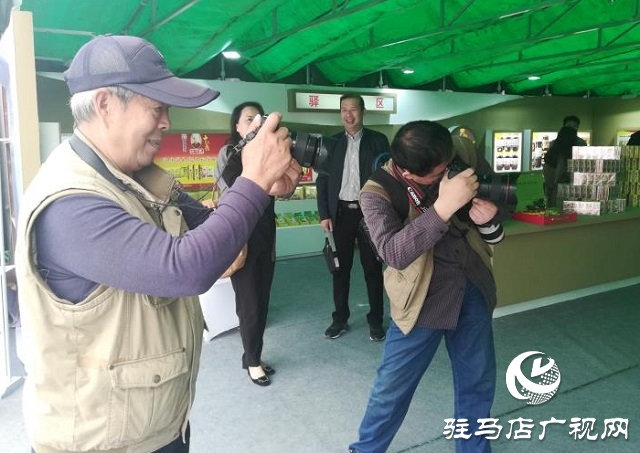 美丽乡村新风貌 创作采风收获多