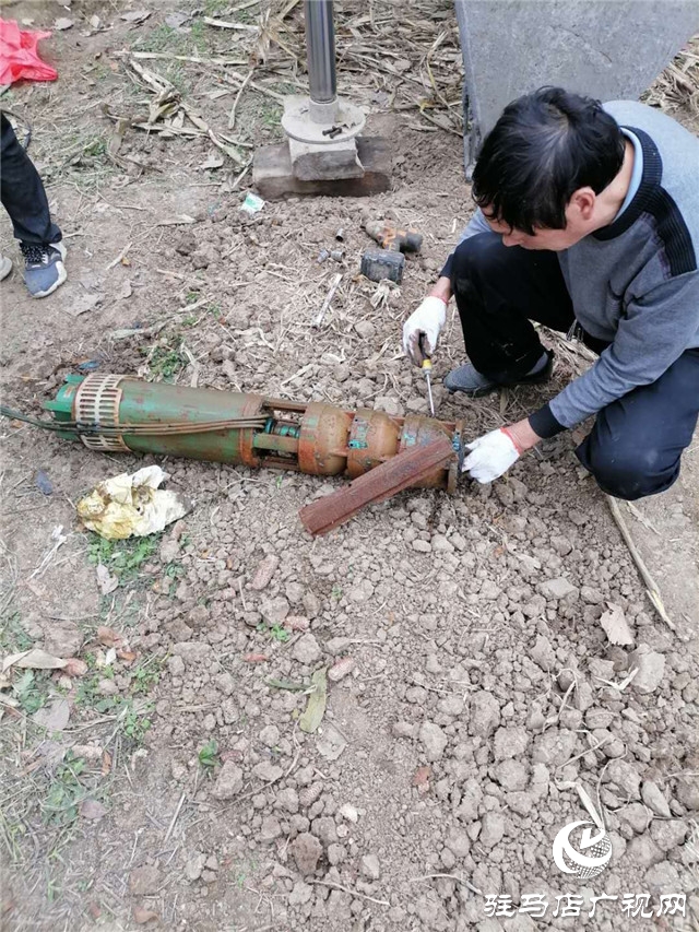 机井出水群众笑