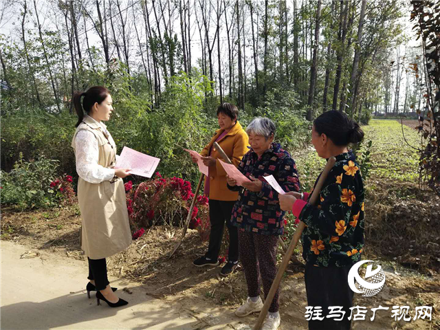 平舆县玉皇庙乡开展提升公众安全感和政法机关执法满意度宣传活动