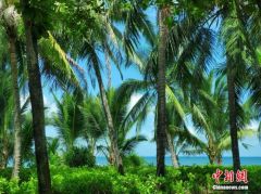 第一批“候鸟老人”启程南飞 三亚仍是最热目的地