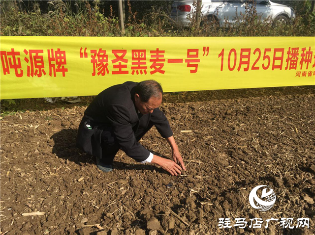 吨源种业组织召开小麦播种现场会