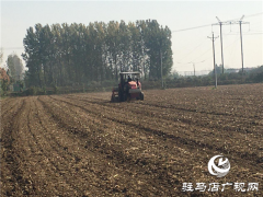 吨源种业召开“福高2号”播种现场会