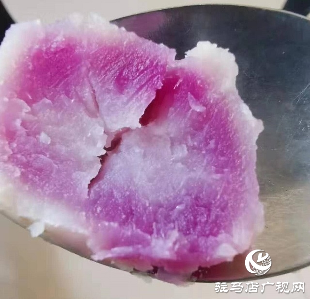 汝南县板店乡：“土专家”引进“洋品种”