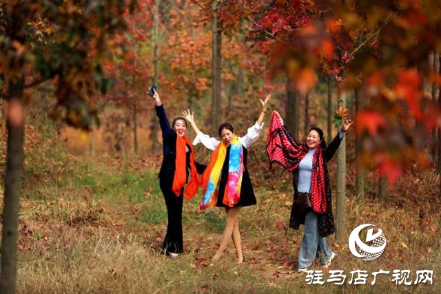 驿城区板桥镇：生态扶贫树 脱贫路子宽