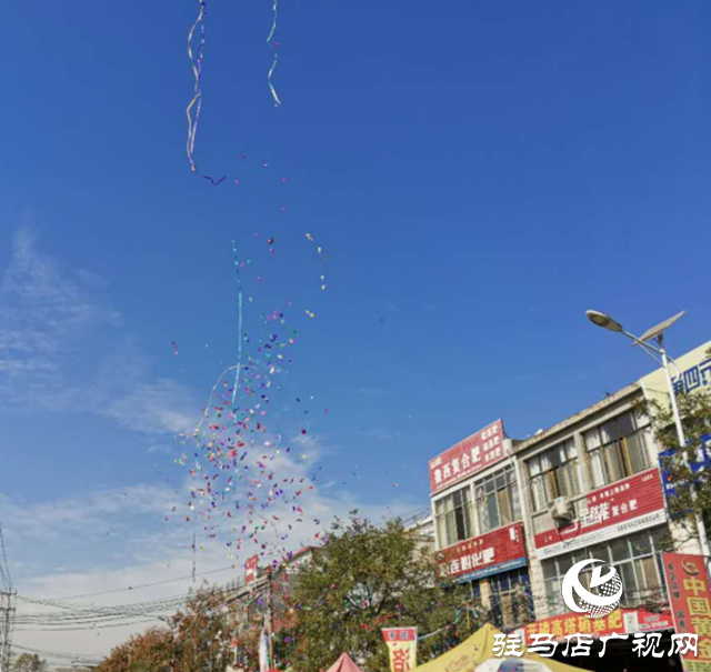 新蔡县杨庄户乡：引进电子爆竹生产 助推当地经济发展