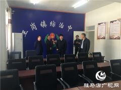 汝南县王岗镇深入开展平安建设工作