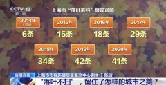 从垃圾变美景 “落叶不扫”留住了怎样的城市之美？