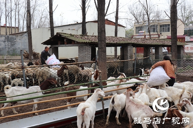 IMG_1928_爱奇艺.jpg