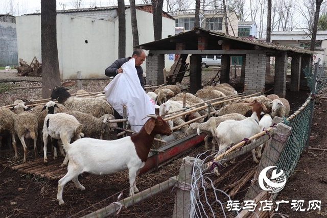IMG_1935_爱奇艺.jpg