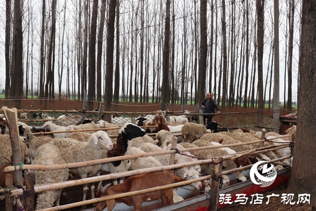 IMG_1915_爱奇艺.jpg