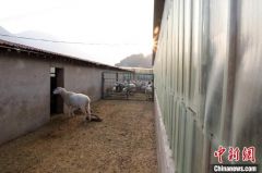 民政部：目前全国农村低保平均标准为每人每年5842元