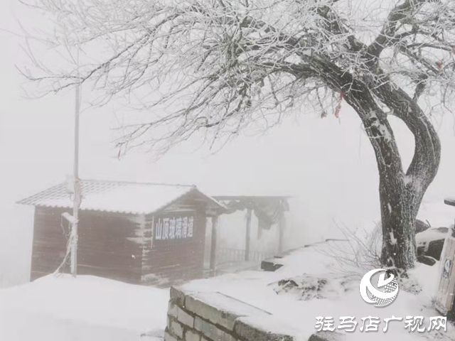驻马店2020年第一场雪“到货” 老乐山银装素裹犹如仙境
