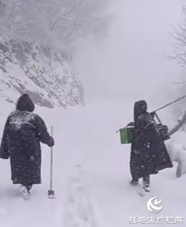 顶风雪 驻马店广播电视发射台值班人员步行上山换班