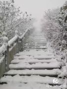 顶风雪 穿山道，驻马店广电人的坚守