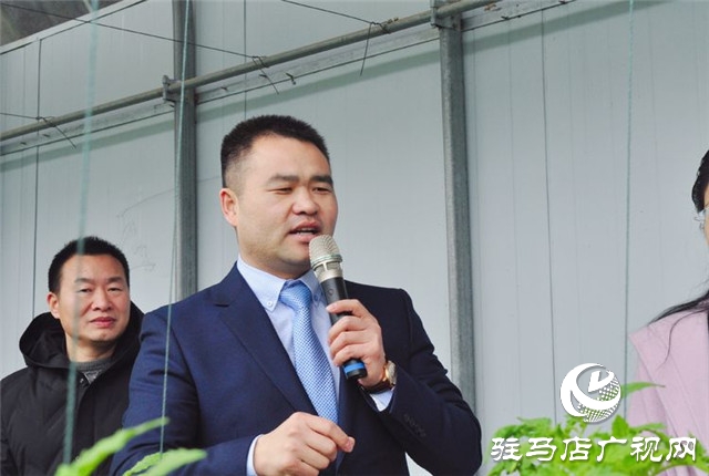 驻马店市西红柿产业发展现场观摩会在汝南县番顺西红柿产业园顺利召开