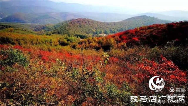 美哭了！那个被河南艾森集团唤醒的黄石头庄邀你回归心灵的宁静