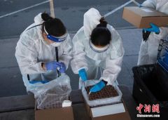 美国正面临疫情“寒冬”，白宫仍将举办数十场聚会