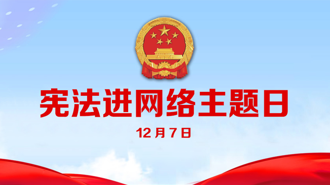 宪法进网络